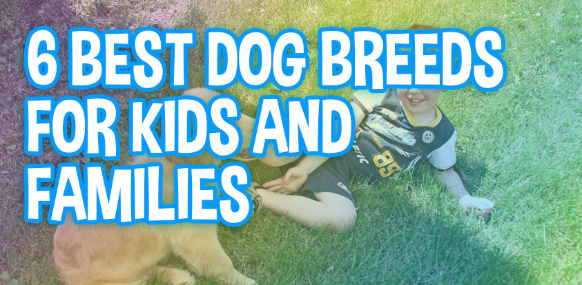 6 Best Dog Breeds For Kids and Families